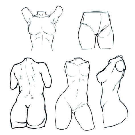 Female Torso Anatomy, Chest Reference, Men Anatomy, Torso Study, Anime Bodies, Woman Torso, Drawing Anime Bodies, Man Anatomy, Female Torso