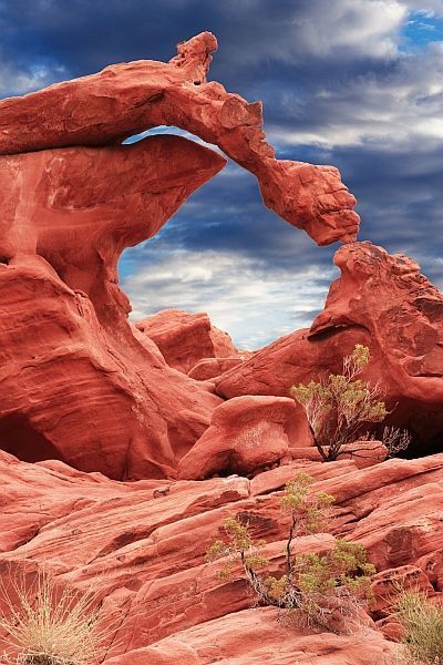 Africa Nature, Valley Of Fire State Park, Valley Of Fire, In The Desert, A Rock, The Desert, Amazing Nature, Nature Pictures, Nature Photos