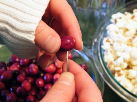 stringing popcorn and cranberries String Popcorn And Cranberries, Stringing Popcorn And Cranberries, Popcorn And Cranberry Garland, Stringing Popcorn, Popcorn Crafts, Cousins Christmas, Cranberry Garland, Baby Christmas Crafts, Popcorn Garland