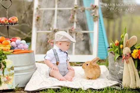 Easter Bunny Photoshoot, Baby Easter Pictures, Easter Minis, Easter Baby Photos, Easter Portraits, Easter Pics, Easter Mini Session, Easter Photoshoot, Easter Photography