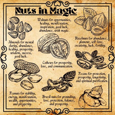 Cat Magic Witch, Spell Ingredients, Magia Das Ervas, Witchcraft Books, Wiccan Magic, Witch Spirituality, Magic Spell Book, Magic Herbs, Grimoire Book