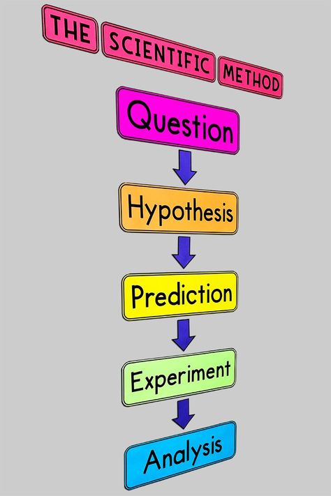 Science Cba 1 Ideas, Grade 7 Bulletin Board Ideas, Life Science Bulletin Boards, Scientific Method Bulletin Board, Science Boards Display Ideas, Science Charts For Classroom, Biology Decorations, Science Bulletin Board Ideas, Scientific Method Anchor Chart