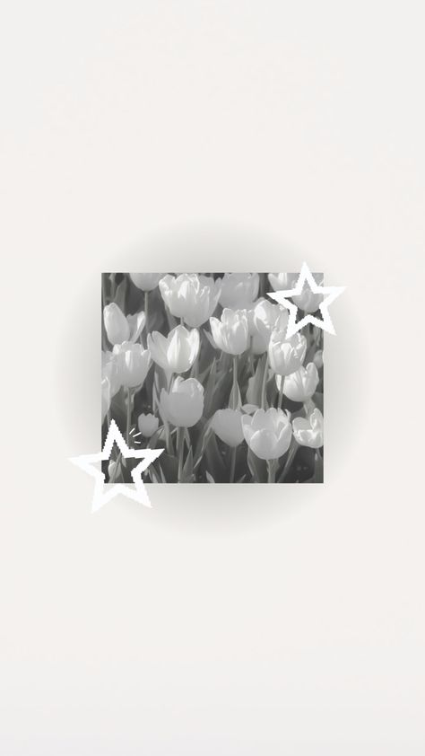 White aesthetic tulips phonr wallpaper ˚₊‧꒰ა𐦍໒꒱ ‧₊˚ White Lockscreen Aesthetic Iphone, Simple White Background Wallpaper, Soft White Aesthetic Wallpaper, White Asthetics Wallpaper, Aesthetic White Wallpaper, Wallpaper Aesthetic White, Tulip Background, White Lockscreen, White Wallpaper Aesthetic