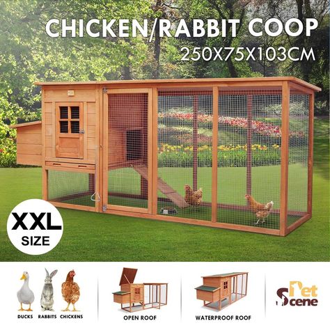 A chicken coop that can give both the owners and chicken benefits is always a prioritized choice for purchasers. This chicken house from Petscene has better reasons to be bought. Rabbit Coop, Duck Pet, Raised Pet Bed, Wood Chicken, Chicken Fence, Guinea Pig Hutch, Bunny Cage, Automatic Chicken Coop Door, Mattress Dog Bed