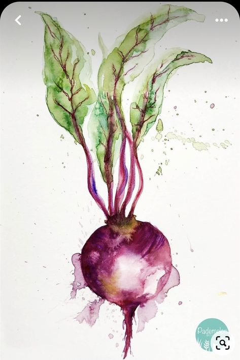 Watercolour Food, Watercolor Food Illustration, Vegetable Painting, Vegetable Illustration, Watercolor Food, Watercolor Paintings For Beginners, Watercolour Inspiration, Watercolor Projects, Watercolor Paintings Easy