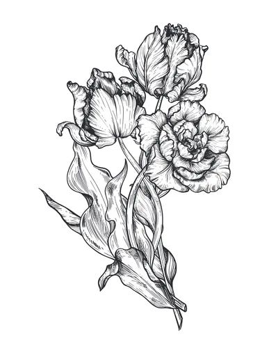 Tulip Vector, New Tattoo Designs, Bat Tattoo, Witch Tattoo, Botanical Tattoo, Dark Flowers, Tattoo Cover-up, Hand Drawn Flowers, Cover Up Tattoos