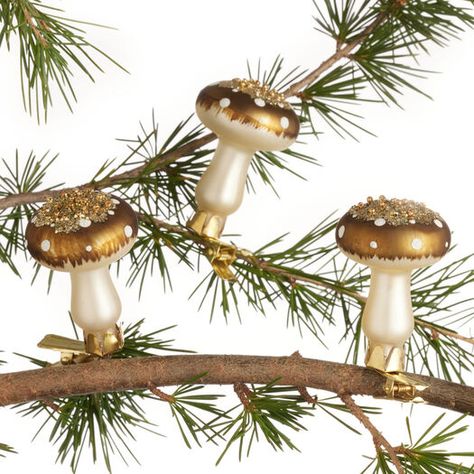 Ivory And Gold Glass Mushroom Clip Ornaments 6 Pack by World Market World Market Mushroom, Mushroom Ornaments Diy, Moss Ornaments, Kardashian Christmas, Folk Christmas, Moody Christmas, Jar Decorations, Mushroom Ornaments, Christmas Nostalgia