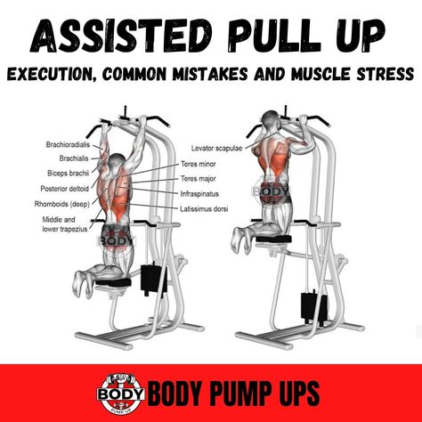 ASSISTED PULL UPS

Assisted pull up are exactly what the name suggests, pull ups that are done with some type of assistance. Assisted pull ups are great for beginners who can’t complete a pull up or can’t do enough pull ups to get a good workout in. You can do assisted pull ups in three ways; with a machine, with bands or with a partner.


Follow me @bodypumpup 

#backwing #back #backworkout #backexercises #backworkout #backexerciseday #Fitness #workoutathome #workatgym #Assistedpullup #pullup # Assisted Pull Ups At Home, How To Do Assisted Pull Ups, Assisted Pull Up Machine Workouts, Exercise To Help With Pull Ups, Exercises To Help Do Pull Ups, Pull Up Machine, Assisted Pull Up Machine, Assisted Pull Ups, Biceps Brachii