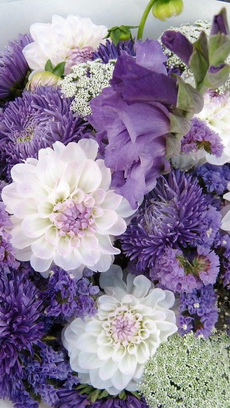 Chrysanthemum Flower Arrangement, Purple Dahlia, Lovely Flowers Wallpaper, Chrysanthemum Flower, Flower Landscape, Flower Therapy, Rare Flowers, Beautiful Bouquet Of Flowers, Dahlia Flower