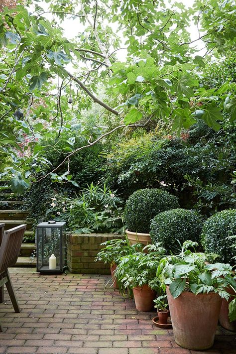 Small Garden Ideas, Brick Patio, Garden Patio Decor, Small Courtyard Gardens, Courtyard Gardens Design, Small Courtyards, London Garden, City Garden, Small Garden Design