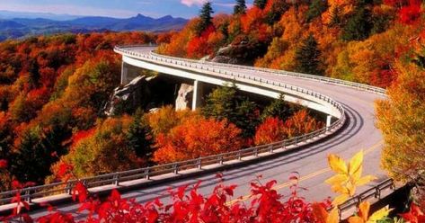 Breathtaking roads that lead to utopia! Blue Ridge Parkway Fall, Grandfather Mountain, Beautiful Roads, Autumn Scenes, Blue Ridge Parkway, Colorful Trees, Autumn Scenery, Blue Ridge Mountains, Travel Sites