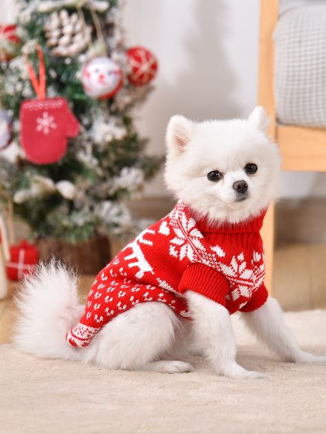 Christmas Dog Outfits, Pet Coats, Pet Sweaters, Photos With Dog, Dog Winter Clothes, Really Cute Puppies, Pet Sweater, Christmas Backdrops, Silly Dogs