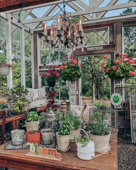 This greenhouse is gorgeous inside and out! Check out that chandelier up above & all the pretty plants to soothe the soul! We Spy our adorable Darling #pillow here too!⁠ #homedecor #decorativepillow Backyard Greenhouse, Unique Farmhouse, Farmhouse Garden, Garden Greenhouse, Greenhouse Gardening, Sales Page, Style Deco, Pretty Plants, Antique Farmhouse