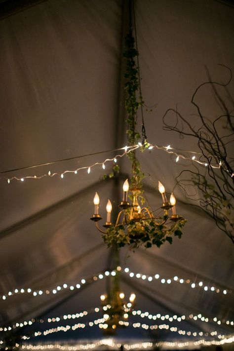 A Charming Bed-and-Breakfast Wedding at Woolverton Inn in Stockton, New Jersey Math Coach, Reception Ideas, Cool Lighting, String Lights, Bed And Breakfast, Floral Decor, Chandeliers, Wedding Decor, New Jersey