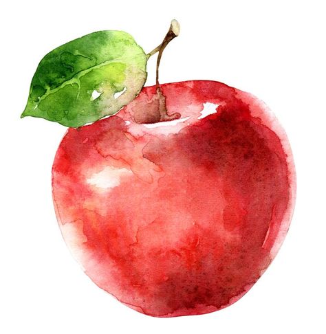 30 Easy Watercolor Painting Ideas for Beginners Apple Watercolor Painting, Apple Watercolor, Watercolor Fruits, Apple Painting, Apple Print, Fruits Drawing, Watercolor Food, Watercolor Paintings For Beginners, Watercolor Fruit