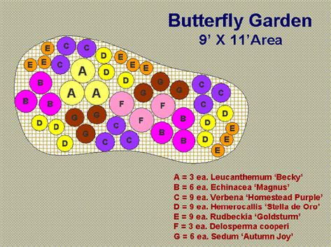 Butterfly Garden Layout, Produce Garden, Pollinator Garden Design, Delosperma Cooperi, Monarch Butterfly Garden, Butterfly Garden Plants, Butterfly Garden Design, Butterfly Plants, Garden Plan