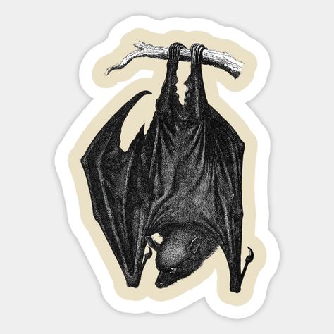 White Ink Drawing, Goth Design, Bat Sticker, Horror Merch, Hanging Bat, Vintage Goth, Goth Art, Creepy Halloween, Design Sticker