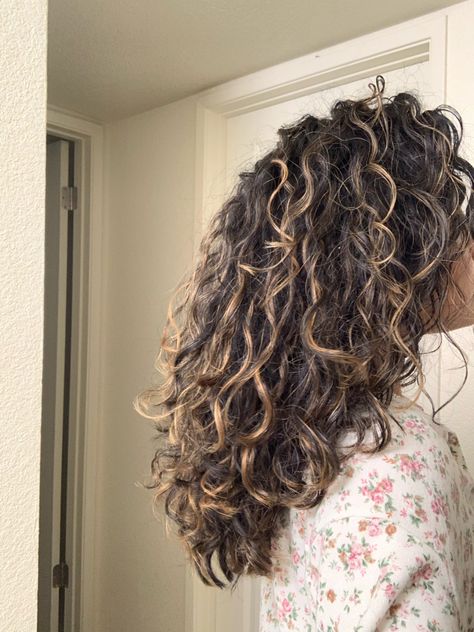 2c Hair With Layers, 2c Curly Hair Balayage, Curly Hair Colour Ideas Highlights, Brown Curly Hair Balayage, Hair Colour For Curly Hair, Long Layers Curly, Long Layers Curly Hair, 2c 3a Curly Hair, Curly Hair Balayage