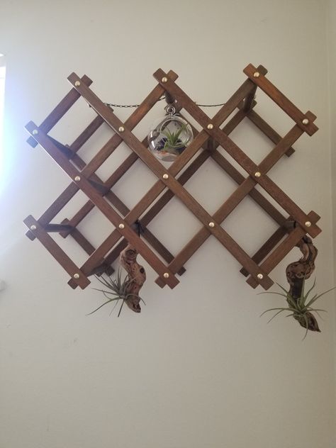 Accordian Wine Rack Repurpose, Thrift Repurpose, Vintage Booth, Plants At Home, Booth Decor, Fun Furniture, Wooden Wine Rack, Makeover Bedroom, Vintage Repurposed