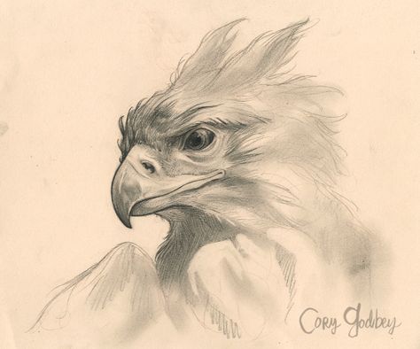 Cory Godbey Griffin Drawing, Griffin Mythical, Griffin Tattoo, Dragon Drawings, Mythological Animals, Light Tattoo, Light Night, Creature Drawings, Fantasy Creatures Art