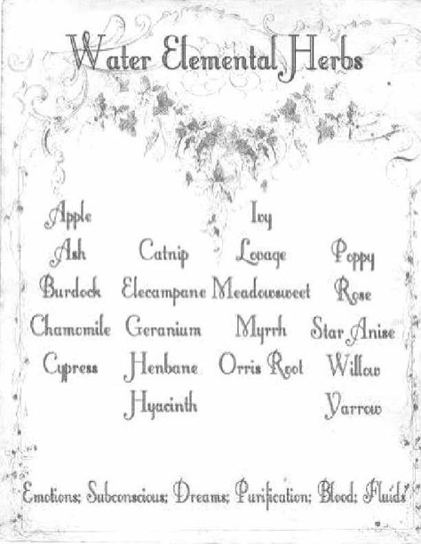 Water Herb Correspondence Element Correspondences, Wiccan Elements, Elemental Magick, Magick Herbs, Magickal Herbs, Water Witch, Element Earth, Earth Element, Magic Herbs