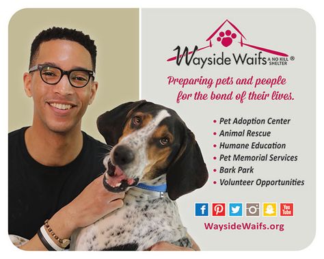 Wayside Waifs is a charitable animal shelter whose purpose is to place adoptable companion animals in responsible homes.  Wayside Waifs Kansas City is committed to finding homes for all adoptable pets. Wayside is the largest pet adoption campus in Kansas City, placing over 5,400 animals each year in loving forever homes. Animal Shelter Social Media, Animal Shelter Donation Ideas, Animals Shelter, Dog Shelter Volunteer, Volunteering At Animal Shelter, Birthday Party Locations, Community Services, Memorial Services, Companion Animals