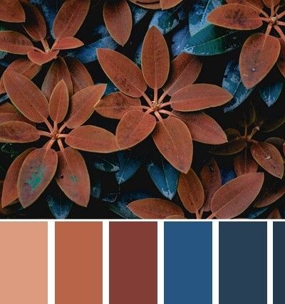 This Pin was discovered by Tatiana Lipnizki. Discover (and save) your own Pins on Pinterest. Color Harmony Palette, Rustic Color Palette For Home, September Color Palette, Moody Color Scheme, 4 Color Palette, Fall Color Combinations, Brown Color Palette, Color Schemes Colour Palettes, Color Palette Bright