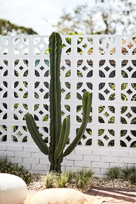 Charlie and Juliet's boho-style Palm Springs makeover | Better Homes and Gardens Palm Springs Fence, Palm Springs Courtyard, Palm Springs House Exterior, Palm Springs Front Yard, Palm Springs Landscape, Palm Springs Style Interior, Palm Springs Exterior, Palm Springs Patio, Palm Springs Outdoor