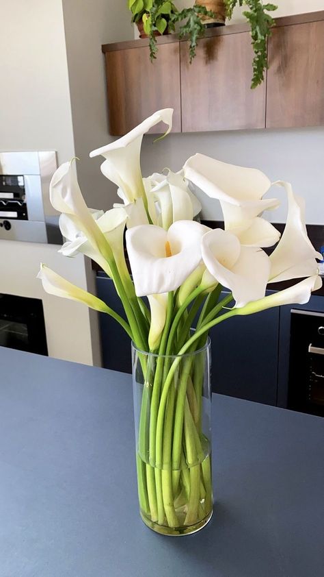 Calla Lillies Centerpieces, Calla Lily Centerpieces, Floral Therapy, Lily Vases, Calla Lily Wedding, Arum Lily, Luxury Flower Bouquets, Calla Lily Bouquet, Lily Bouquet