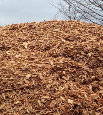 Wood Chips Landscaping Ideas, Wood Chips Landscaping, Shrub Garden, Mulch Around Trees, Ecological Landscape, Wood Chip Mulch, Mulch Landscaping, Wood Mulch, Garden Walkway