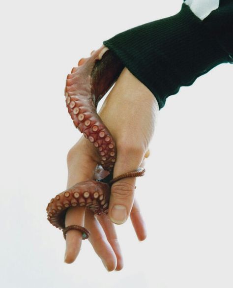 Octopus wrapped around a hand. Ralph Gibson, William Eggleston, The Adventure Zone, Cthulhu Mythos, Vivian Maier, Welcome To Night Vale, Night Vale, Sea Witch, Bioshock