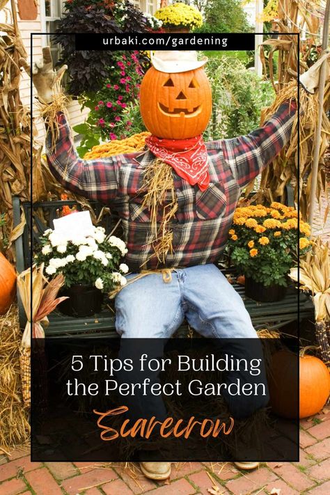 Creating the perfect garden scarecrow can be a fun and effective way to protect your plants from pesky birds and animals. Not only does it serve as a practical deterrent, but it also allows you to express your creativity and add a unique, decorative element to your outdoor space. Whether you’re an experienced gardener or a novice, a well-crafted scarecrow can add a touch of personality to your garden while keeping it safe from unwelcome visitors. Here are five tips to help you build the ideal... Diy Scarecrows For Garden, Building A Scarecrow, Fall Planting Guide, Garden Scarecrow, Fall Lawn, Scarecrows For Garden, Composting At Home, Halloween Scarecrow, Halloween Cans