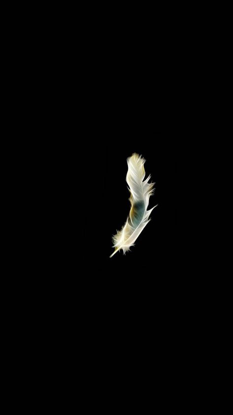 An Amazing Dark Android Glowing Feather Rendered With A Glow Effect Isolated On A Minimalist Backdrop With A Black Hue. Pure Black Wallpaper, Wallpapers Flowers, Black Phone Background, Wallpaper Gelap, Android Wallpaper Black, Black Hd Wallpaper, Dark Background Wallpaper, Feather Wallpaper, Wallpaper Hitam