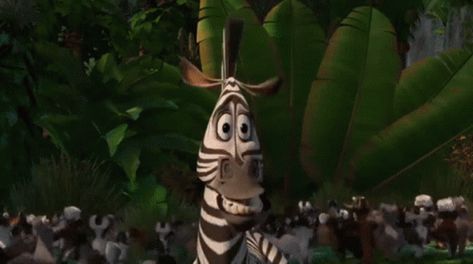 Madagascar Marty GIF - Madagascar Marty Scared - Discover & Share GIFs Madagascar 1, Cartoon Gifs, Madagascar, Character Drawing, Hero Academia, Animated Gif, Cool Gifs, Gif, Quick Saves