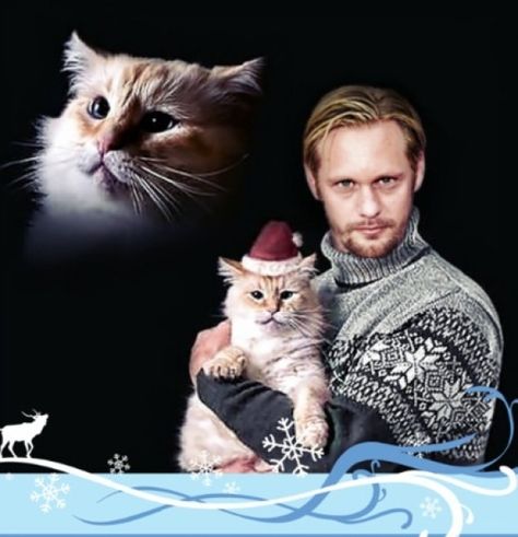 Extremely Awkward Christmas Card With A Cat Christmas Cat Memes, Funny Christmas Memes, Merry Christmas Meme, Christmas Humor Ecards, Cat Christmas Cards, Christmas Memes Funny, Merry Christmas Cat, Merry Christmas Funny, Christmas Memes