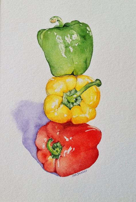 Fruit Sketch, Vegetable Painting, Observational Drawing, Watercolor Food, Watercolor Fruit, Cat Air, Food Painting, Fruit Painting, 수채화 그림