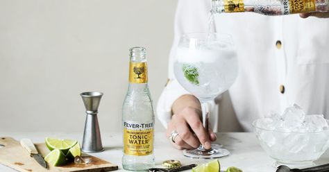 How to Make the Best Gin and Tonic | Martha Stewart Best Gin And Tonic, Citrus Garnish, Fever Tree, Best Gin, Gin Cocktail Recipes, Lime Peel, Carbonated Water, Tonic Water, Club Soda