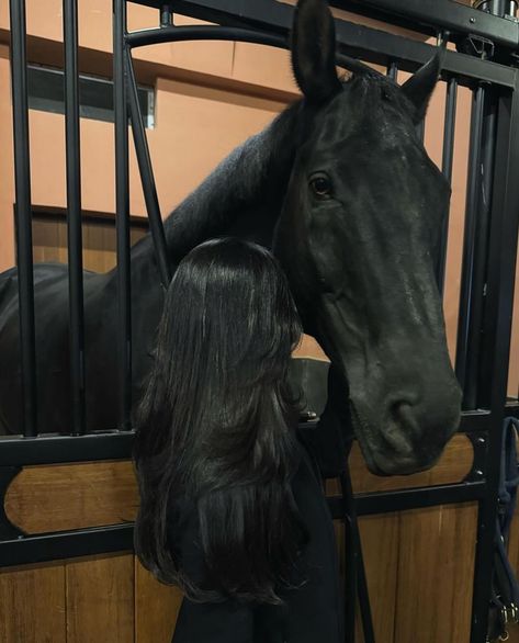 Hair For Horse Riding, Dark Equestrian Aesthetic, Cute Horse Pics, Horse Aesthetic Pictures, Black Horses Aesthetic, Dark Horse Aesthetic, Aesthetic Horse Pictures, Cavalli Aesthetic, Black Horse Aesthetic