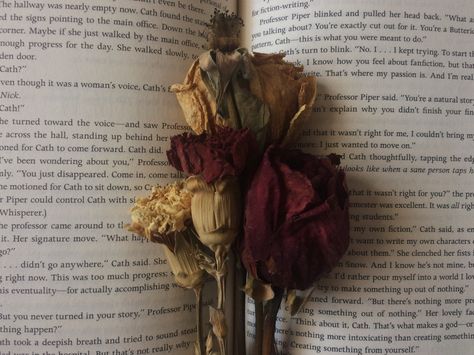 books and dried roses Wilting Flowers Aesthetic, Dried Roses Aesthetic, A Rose For Emily, Characters Quotes, Decay Art, Wilted Flowers, Dead Flowers, Aesthetic Post, Dried Roses