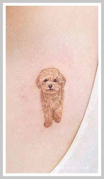 Dog Tattoo - Amazon.com, one of the world's largest store. Click immediately to search what you are looking for. Cavapoo Tattoo, Cockapoo Tattoo, Vintage Frame Tattoo, Poodle Tattoo, Frame Tattoo, Cavapoo Dogs, Framed Tattoo, Cockapoo Dog, Dog Varieties