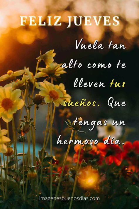 +90 Imágenes Feliz Jueves » Imágenes de Buenos Días Weekend Greetings, Daily Life Quotes, Blessing Words, Morning Thoughts, Night Messages, Spanish Quotes, Morning Greeting, Good Morning, Quotes