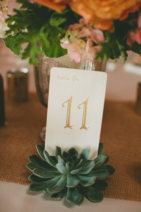 Succulent Wedding Table, Succulent Table, Succulent Photography, Succulent Wedding Centerpieces, Table Numbers Wedding Rustic, Diy Table Numbers, Boda Mexicana, Table Place Cards, Succulent Wedding