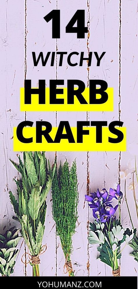 Witchy Crafts Diy, Witches Diy, Low Waste Living, Herb Magic, Herb Diy, Witchcraft Spells For Beginners, Herb Candles, Magic Witch, Angel Cards Reading