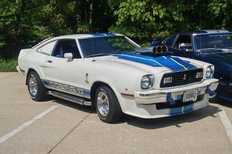 1976 Ford Mustang, Custom Lifted Trucks, Muscle Truck, Ford Mustang Cobra, Mustang Ii, Lifted Truck, Mustang Cobra, Ford Classic Cars, Pony Car