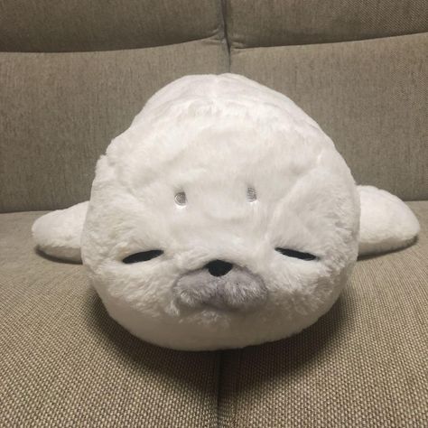 Seal Plushies, Mamegoma Plush, Plush Pfp, Seal Plush, Plushie Pfp, Cute Seals, Cute Minions, Baby Seal, Kawaii Plush