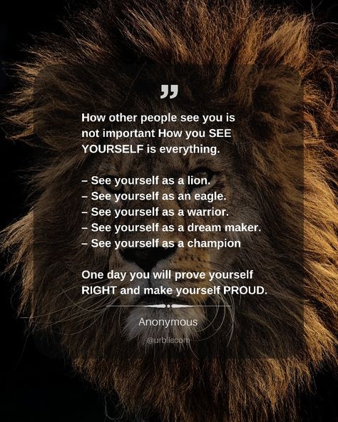 Quote to stop worrying about what others think. How other people see you is not important How you SEE YOURSELF is everything. See yourself as a lion. See yourself as an eagle. See yourself as a warrior. See yourself as a dream maker. See yourself as a champion. One day you will prove yourself RIGHT and make yourself PROUD.  (URBLIS) Stop Proving Yourself Quotes, Worrying About What Others Think, Make Yourself Proud, Prove Yourself, What Others Think, Black Knowledge, Believe Quotes, Never Stop Dreaming, See Yourself