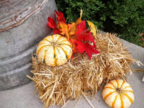 Outdoor Porch Ideas for Fall - mini hay bale, faux maple leaves & pumpkin gourds www.havealittlefaithblog.com How To Decorate Hay Bales For Fall, Mini Hay Bale Centerpieces, Mini Hay Bale Decorating Ideas, Round Hay Bale Decorating Ideas Fall, Round Hay Bale Decorating Ideas, Hay Bales Decorations, Outdoor Porch Ideas, Pumpkin Hay Bale, Hay Bale Decorating Ideas