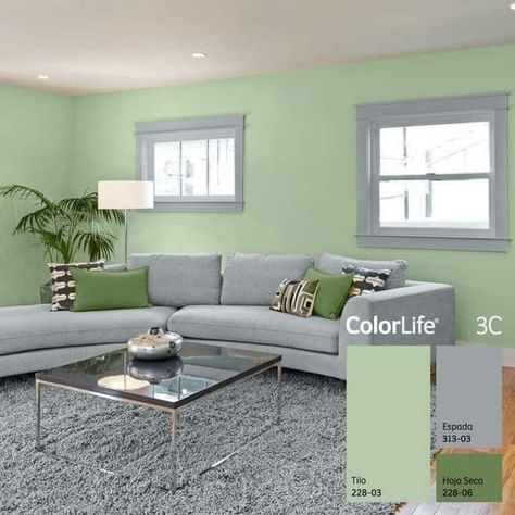 Colour Bedroom, Classic Furniture Living Room, Interior Wall Colors, Green Living Room Decor, Room Color Combination, Wall Color Combination, Living Room Wall Color, Bedroom Color Combination, Colourful Living Room Decor