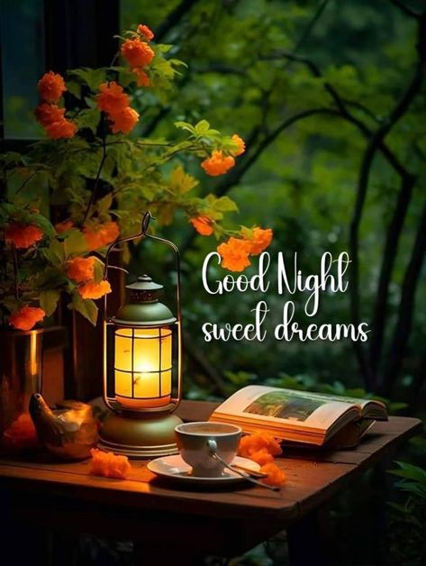 Good Morning Rainy Day, Good Night Friends Images, Good Night Massage, Good Evening Greetings, Daily Greetings, Flowers Quotes, Night Blessings, Friends Images, Night Greetings