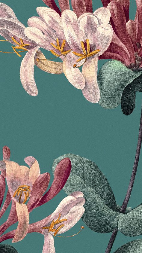 Phone Wallpaper Floral, Magnolia Wallpaper, Wallpaper Background Design, Lilac Background, Honeysuckle Flower, Free Illustration Images, Contemporary African Art, Flowery Wallpaper, Flower Background Wallpaper